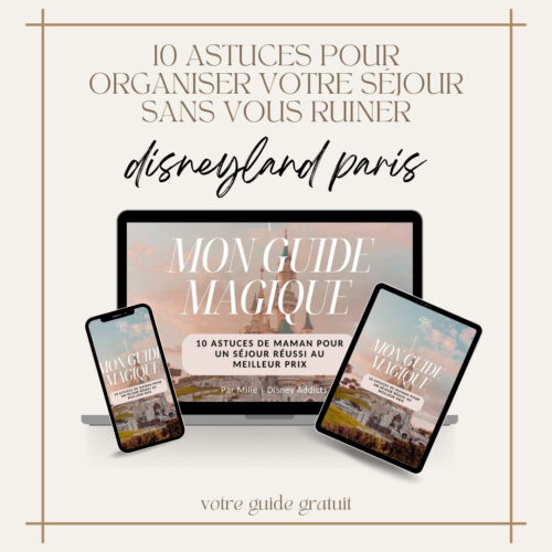 Guide Gratuit : 10 Astuces pour Organiser votre Séjour à Disneyland Paris sans vous ruiner