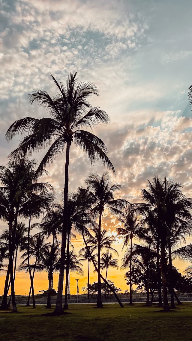 📍 Quelle destination vous fait rêver en ce moment ?
💫 Il y a 1 an, on vivait notre rêve en Floride 🇺🇸
Des rires, du soleil, des alligators (vraiment 🐊) et toute la magie de Disney ✨
Aujourd’hui, j’ai qu’une envie : y retourner !
👉 -200€ chez @tourlane avec le code MILIECQCB200 pour un voyage sur-mesure et personnalisé 💼🌍
Devis gratuit, zéro charge mentale, juste le kiff 💛

Invitation - code affilié 

#Florida #FamilyTrip #VoyageEnFamille #Tourlane #TravelDump #ReelSouvenir #RoadtripUSA #VoyageSurMesure #USAenFamille #instavoyage